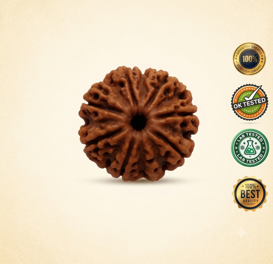 8 Mukhi Rudraksha