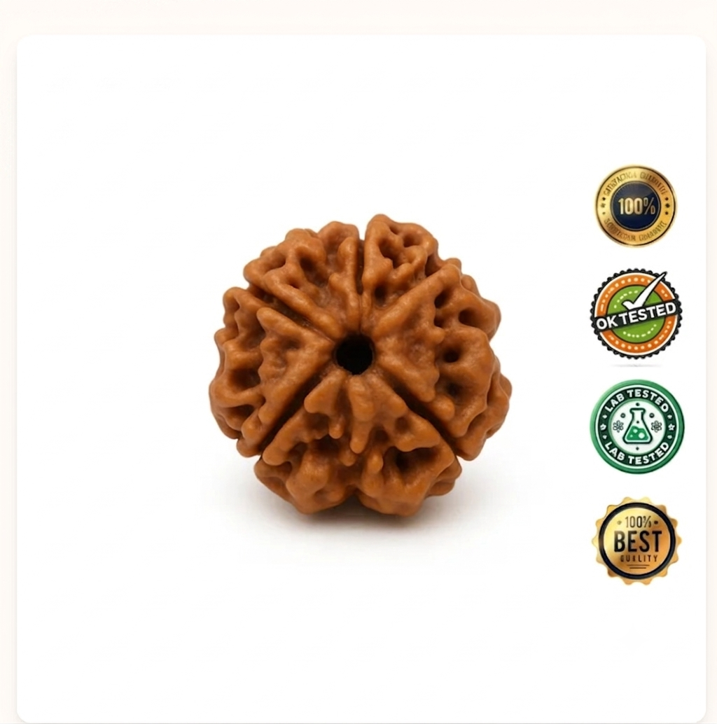 4 Mukhi Rudraksha