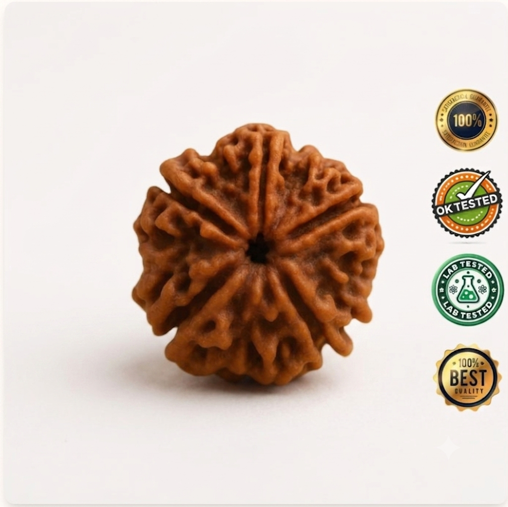 5 Mukhi Rudraksha