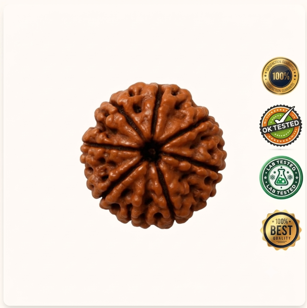 7 Mukhi Rudraksha